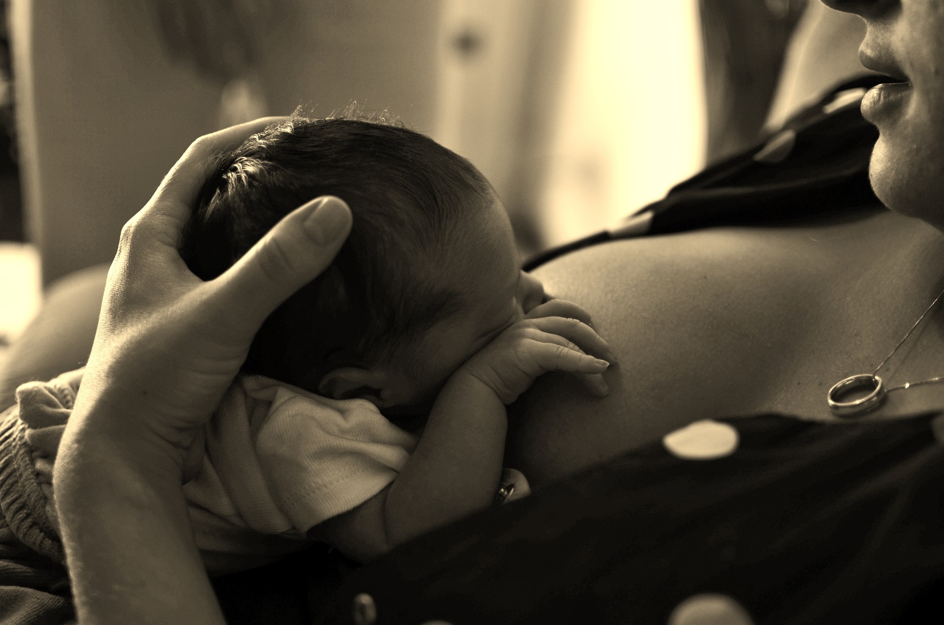Breastfeeding, Bild von Larissa Sampaio auf Pixabay